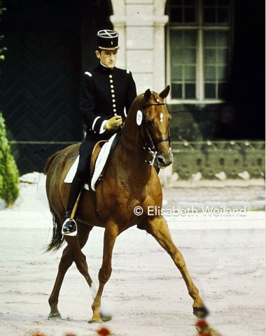 The former French bred steeplechaser Cramique xx, ridden by Patrick LeRolland from France, was the picture of elegance.  The 15-year-old gelding restored the picture he gave two years earlier at the Olympics in Munich and placed a very good 7th.