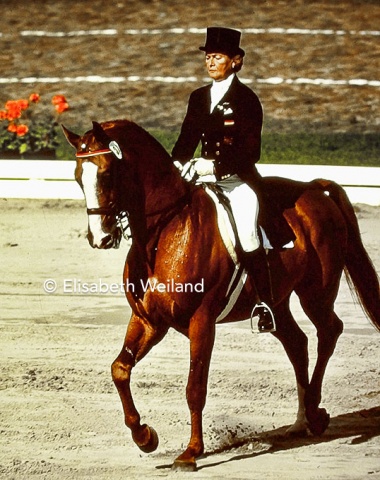 The spitting image of his famous father Gaspari, Piaff shone one last time and won gold and silver at Copenhagen.