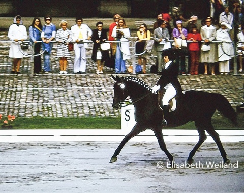 Pepel had attended at every Worldchampionships since 1966 with his long-time rider Elena Petushkova. Even though 18 years of age, the light-footed and petite  Russian bred Trakehner stallion managed to win two more medals at Copenhagen.