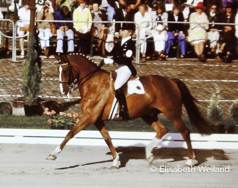 Liostro who had been trained by the late Herbert Rehbein was famous for his extraordinary ability to develop impulsion.