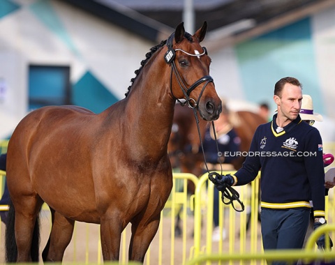 Jayden Brown with Terry Snow's Sky Diamond