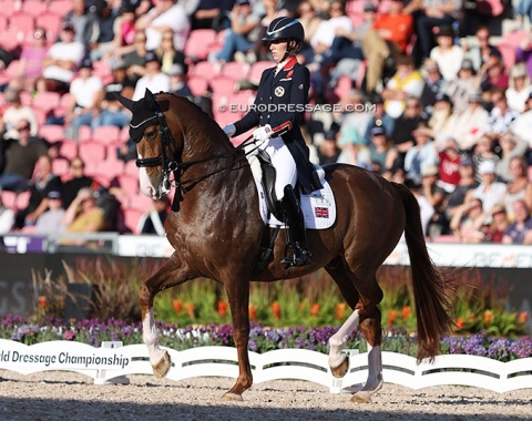 Charlotte Dujardin on the 9-year old Imhotep (by Everdale x Vivaldi). The liver chestnut is brimming with talent, but looks very "ridden" at the moment, often tight in the neck. As he develops strength and self carriage, he'll be one to watch for the future