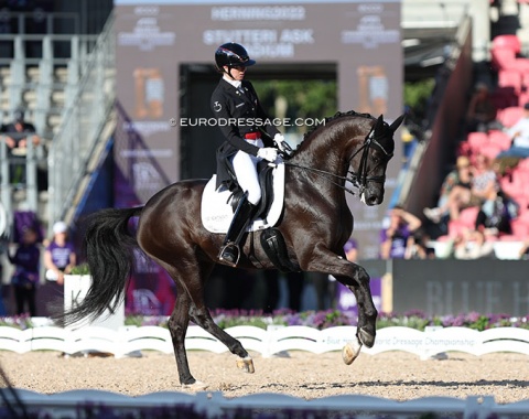 Carina Cassoe Kruth was risking it all on Heiline's Danciera. The Furstenball mare with three outstanding basic gaits was a little overpaced in the trot work and made a mistake in the tempi's. They were 12th