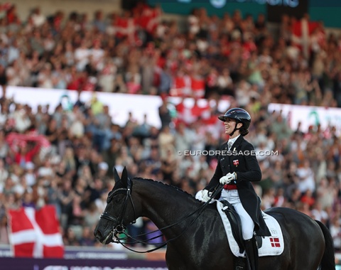 Danish flags everywhere as the home riders leave the arena