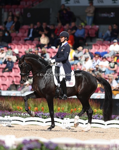 Adrienne Lyle has Salvino (by Sandro Hit x Donnerhall) more closed and together in the canter work. In the passage, the horse presents a wonderful silhouette but could improve on the suspension.