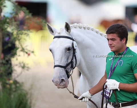 Martim Meneres with Equador