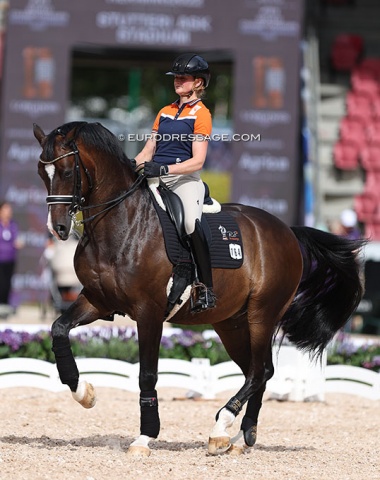 Marieke van der Putten on Torveslettens Titanium (by Totilas x Stedinger)