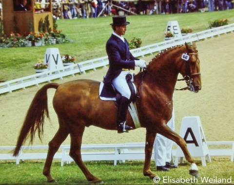Germany’s Harry Boldt was only 6 points behind Stückelberger in the Grand Prix at the Olympic Games 1976. In Goodwood it was more than 2% difference to the dominating Swiss pair, but again team gold for Boldt and his Hanoverian Woyzeck.