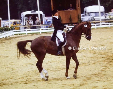 After her legendary chestnut Ajax died at Montreal two years earlier, Swedish Ulla Hakanson showed the young Swedish chestnut Elymus (by Utrillo) and came 18th. A Swedish team couldn’t start because the third member had to withdraw before the Grand Prix.