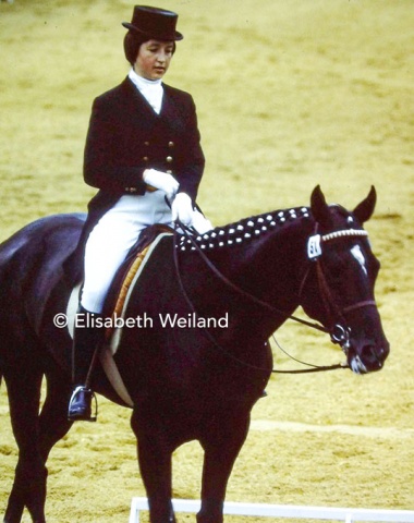 The double Worldchampion of 1970, Dr. Elena Petushkova, competed on a son of 1960 Olympic champion Absent. The 9-year-old Akal Teke stallion Abakan lacked experience to place higher than 15th, but contributed to team bronze.