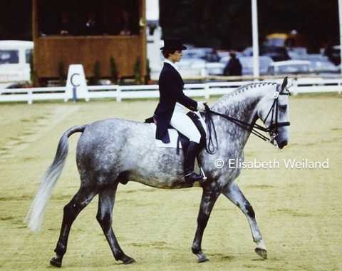 Austrian Elisabeth „Sissi“ Theurer rode her first World championships on her future Olympic champion Mon Cherie. The dapple grey Hanoverian finished 14th in Goodwood, but already a year later was able to beat Granat after his reign of almost 5 years and became individual European Champion.