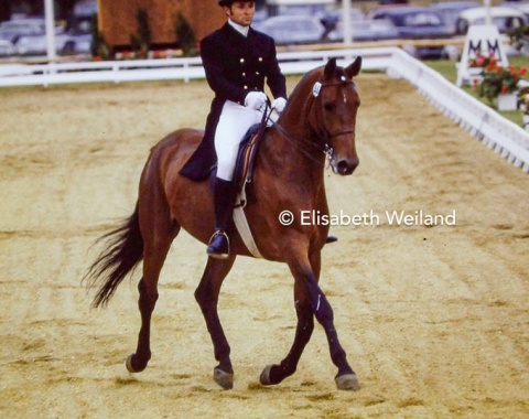 The Soviet team could obtain team bronze, but were still struggling to find proper equine replacements for their Olympic gold medalists of the past. Viktor Ugrimov and the brown gelding Shkval debuted in Goodwood and were the second Soviet pair to reach the Special.