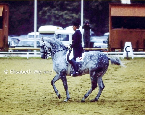 Another dapple grey for Austria: Native German Ines von Badewitz had declared to ride for Austria a decade earlier and competed her Holsteiner Marquis at their 2nd World championships after 1974.