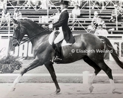 Lausanne was the place where the late Margit Otto-Crépin truly rode into the limelight and impressed everyone with her elegance and refined style of riding. Caprici, a 14-year-old Selle Francais gelding, was a former top event horse and came a very good 10th in the Grand Prix