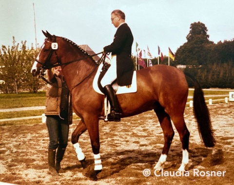 Last minute preparations for Ahlerich’s groom Claudia Rosner getting Ahlerich ready for the Grand Prix start.