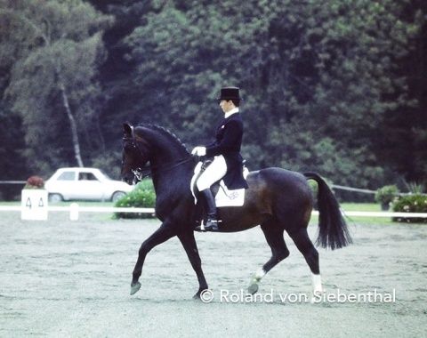 The surprise of Goodwood 1978, British Jennie Loriston-Clarke and her KWPN stallion Dutch Courage didn’t medal this time.