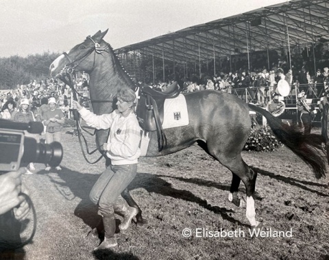 Unlike with her first World champion Mehmed, Dr. Klimke’s groom Claudia Rosner had to be quick on her feet when Ahlerich had enough of the celebrations.