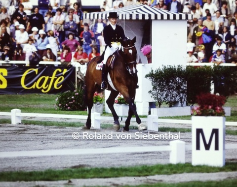 Granat retired on a high note, taking home two more silver medals. The Holsteiner lived until his 25th year when a repeated stroke ended his life in the field.