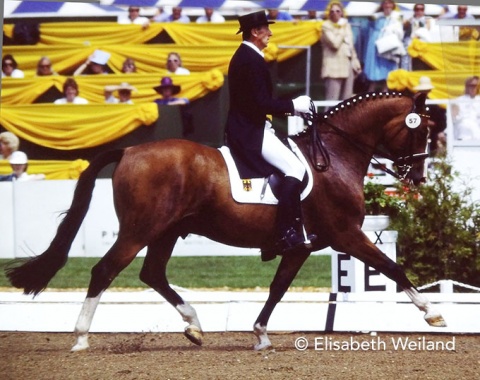 German winegrower, the late Herbert Krug, in an exemplary trot silhouette with the Swedish bred gelding Dukat. Even though they were the drop score of the gold medal winning German team, the were 10th of 44 starters.