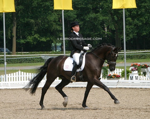 Another golden oldie: Danish Astrid Gemal on Schianto (by Gribaldi x Schwadroneur). Breeder Jorgen Rosbog gave the ride to Sidsel Mørkenborg-Riis (née Johansen) who competed him at international GP level until 2013. Gemal's last CDI scores date back from 2010 on Charmeur. 