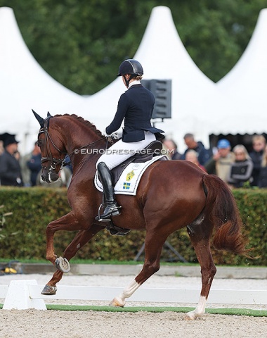 Swedish Matilda Aldrin on the Swedish bred Allanzo TH (by Blue Hors Zack x Donnerhall). 