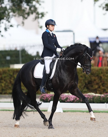 Italian young rider Beatrice Arturi on Gestut Sprehe's Oldenburg stallion Dimaggio Black (by Dimaggio x Furst Heinrich)