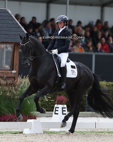 British Beth Bainbridge on the Danish owned Blue Hors Zackorado (by Zack x Florencio)