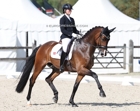 Fourteenth: Susanne Barnow on the Danish warmblood Skovdals Dexter (by Hesselhoj Donkey Boy x Romanov)