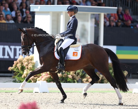 Eighth place: Kirsten Brouwer on Lightning Star (by Ferguson x De Niro). Last year bronze in Verden, this year 2022 Pavo Cup champion and now 8th in Ermelo