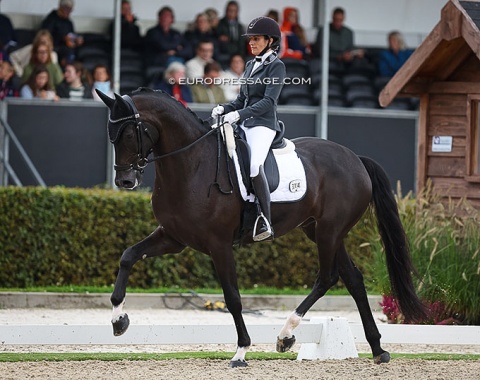 French Claudia Chauchard on the Dutch bred Oldenburg gelding Apachi van de Biebosschen (by Apache x Don Frederico)