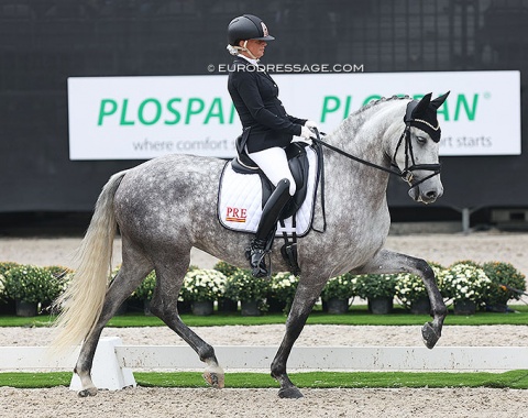 Veronica Graebedunkel on the PRE bred Exclusiva Montehispano (by Encendido x Ermitano III)