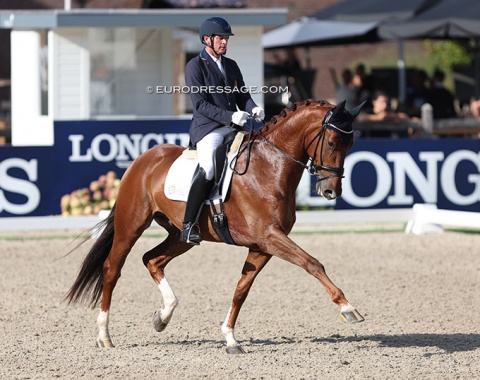 Thirteenth place: Tom Heylen and the Belgian warmblood Quberon van het Beukenhof (by Johnson x Don Renoir). 