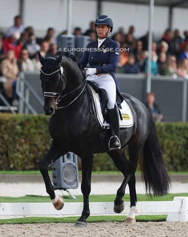 Jennifer Hoffmann on the Austrian warmblood Rondoro Noblesse (by Rosengold x Latour)