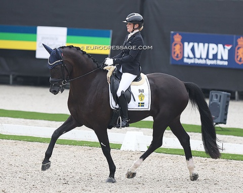 Jeanna Hogberg on the Swedish bred BE Allex (by Ampere x Dalwhinnie). 