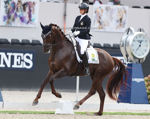 Swedish young rider team member Linnea Holmgren on the self produced Buskhagas Ramayana (by Revolution x Del Piero). One of four Revolutions in the 5-YO class:  all showing great trainability and willingness, but not the most luxurious types