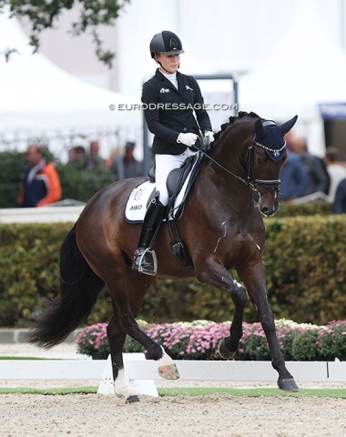 Lisa Horler on the Austrian warmblood mare Get You The Moon (by Goldberg x San Amour)