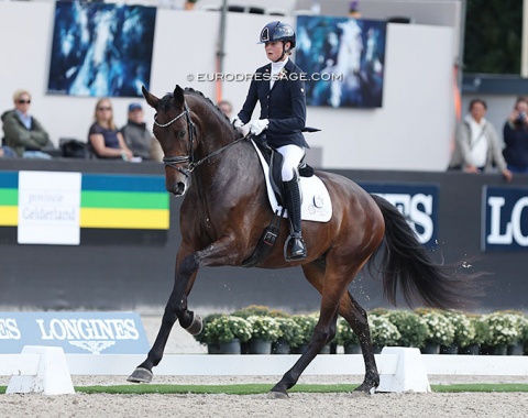 Belgian young rider Zoe Niessen on Rashida van de Kempenhoeve, a Belgian warmblood mare by Revolution x Blue Hors Zack