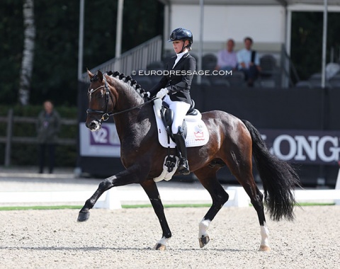 Renate van Uytert on Blue Hors Santiano (by Sezuan x Romanov)