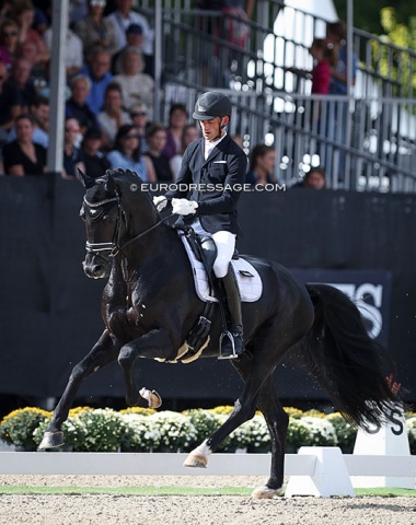 Sixth place: Justin Verboomen on Zonik Plus (by Zonik x Hohenstein). This horse has Grand Prix written all over this body. Watch out for this one!!