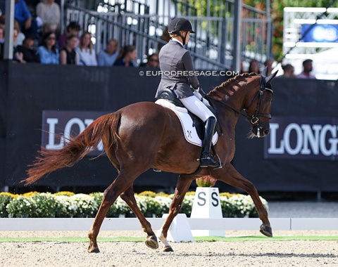 Sixth place: Lena Waldmann on Belinda (by Bon Coeur x Royal Blend)