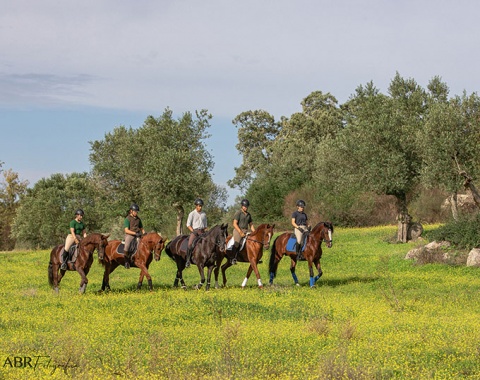 Riding on the Alentejo country side