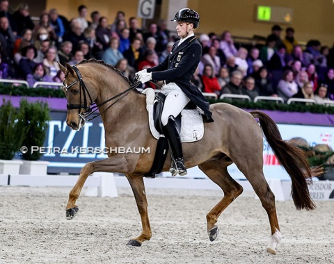 Frederic Wandres on the Taiwanese owned Harrods (by Hochadel x Rotspon), also a PSI auction horse