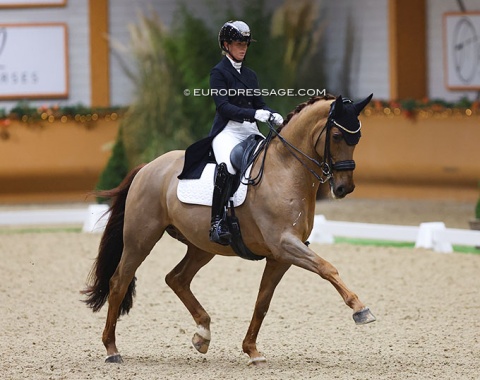 Morgan Barbançon on Habana Libre A (by Zizi Top x United). The horse is really nicely muscling up and coming into his own.