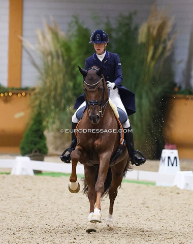 Although known as a young horse rider, Kirsten Brouwer finally made her international Grand Prix debut this year on the 12-year old Foundation (by United x Jazz)