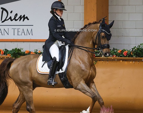 Belgian Charlotte Defalque and the KWPN bred Botticelli (by Vivaldi x Koss)