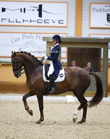 Dutch Under 25 rider Devenda Dijkstra making her senior Grand Prix debut on Jan Pieter Dalsem and her boyfriend Laurens van Lieren's Hero (by Johnson x OO Seven)