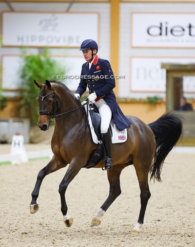 British Olympian Emile Faurie on a new Grand Prix horse, Diana Rose's Oldenburg mare Bellevue (by Bordeaux x Brentano II)