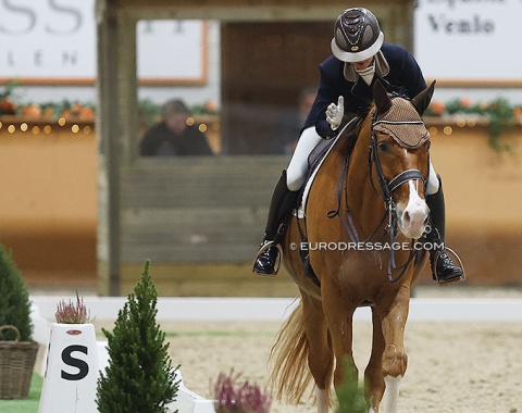Camille Judet Cheret on the 16-year old Selle Français gelding Scoop du Bois Luric (by Earl x Thurin HN)