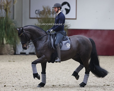 Patrik Kittel brought Arlette Kohl's Forever Young HRH for training