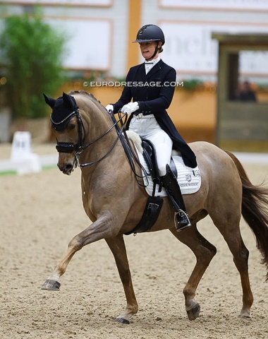 Jeanine Nekeman on the 12-year old KWPN bred Ferrari (by Apache x Jazz). This liver chestnut was the 2010 KWPN Foal Champion